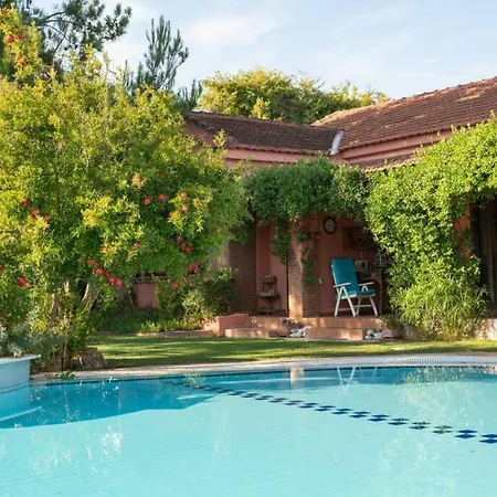Villa Christina In Evia Paralia Avlidhos