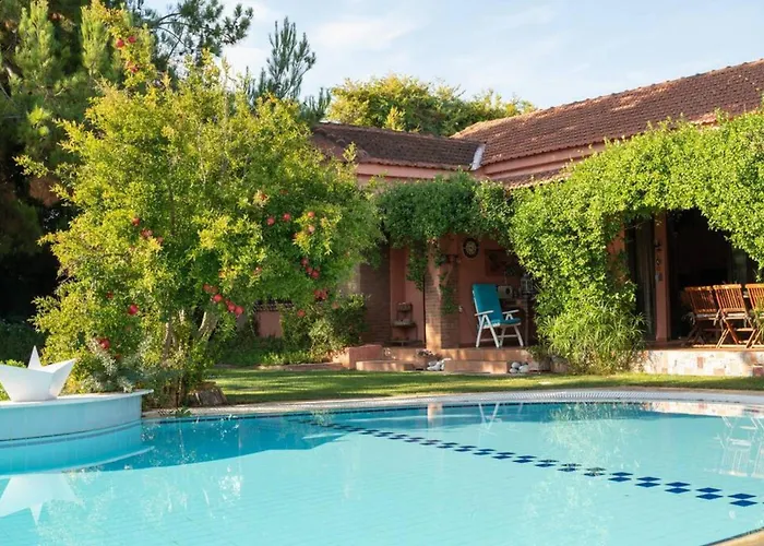 Villa Christina In Evia Paralia Avlidhos